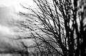 Erik-Hecht-Tilt-Transformer-Samples