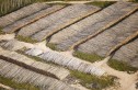 ChaseJarvis_AshleyCooper_TarSands8