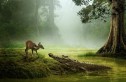 Nano Banana Prompts: The Professional’s Guide to AI Image Mastery